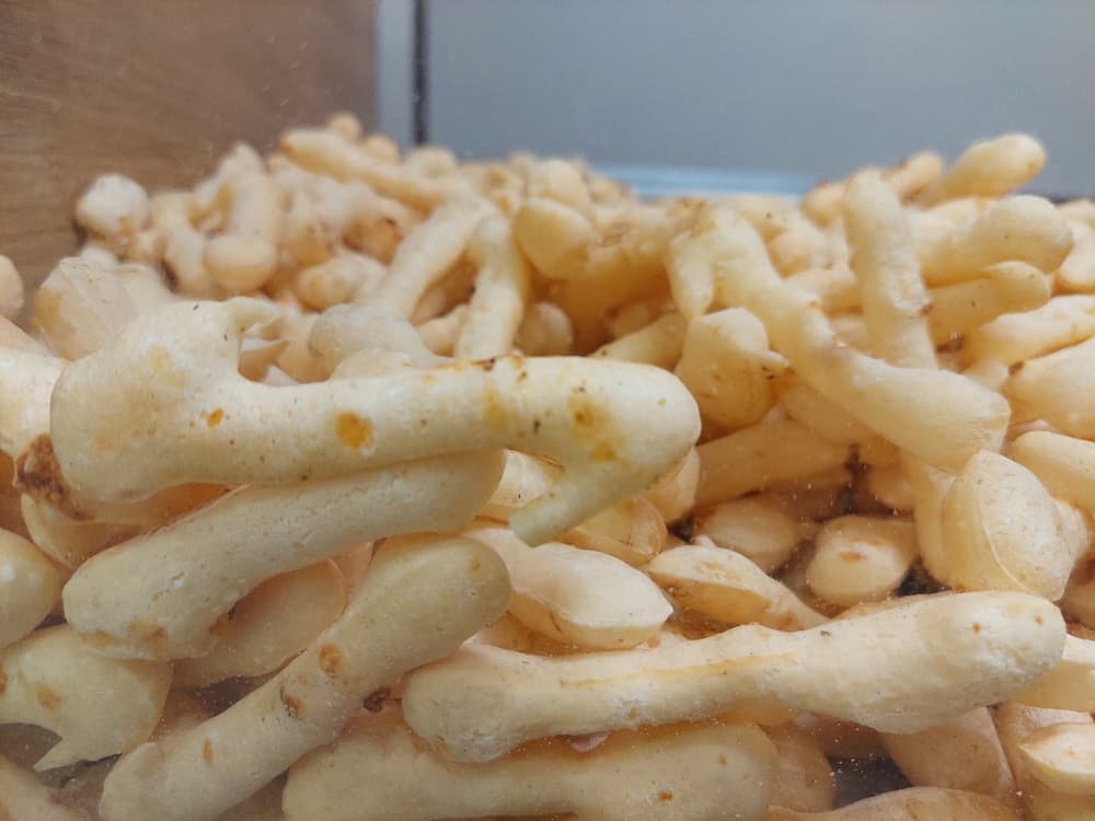 Biscoito de Polvilho Caseiro